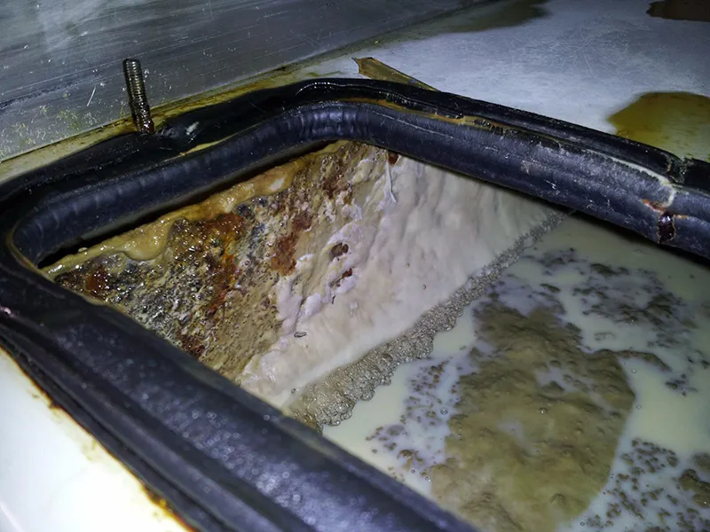 چرا روغن آبصابون فاسد میشود؟ | راهکارهای جلوگیری از بو گرفتن و گندیدگی امولسیون